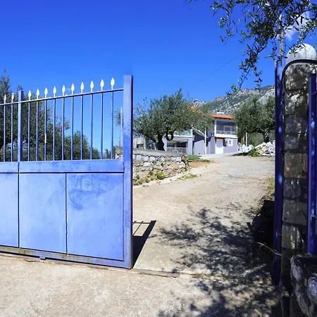 Olive Roads * Καλαμάτα
