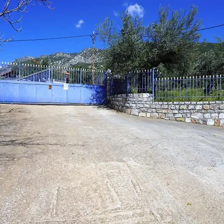 Olive Roads